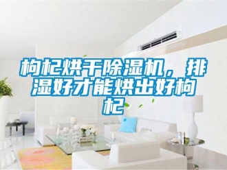 企業(yè)新聞枸杞烘干除濕機(jī)，排濕好才能烘出好枸杞