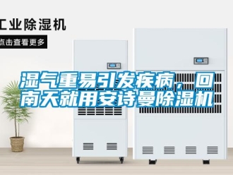 企業新聞濕氣重易引發疾病，回南天就用安詩曼除濕機