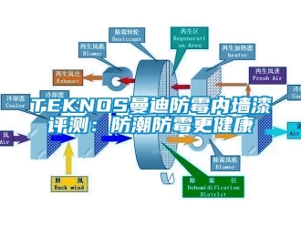 企業(yè)新聞TEKNOS曼迪防霉內(nèi)墻漆評(píng)測(cè)：防潮防霉更健康