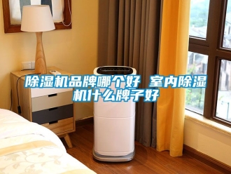 企業(yè)新聞除濕機(jī)品牌哪個(gè)好 室內(nèi)除濕機(jī)什么牌子好