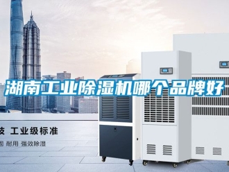 常見問題湖南工業除濕機哪個品牌好