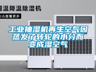 企業(yè)新聞工業(yè)抽濕機(jī)再生空氣因蒸發(fā)了轉(zhuǎn)輪的水分而變成濕空氣
