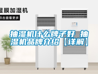 企業(yè)新聞抽濕機(jī)什么牌子好 抽濕機(jī)品牌介紹【詳解】