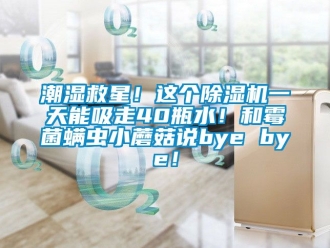 企業新聞潮濕救星！這個除濕機一天能吸走40瓶水！和霉菌螨蟲小蘑菇說bye bye！