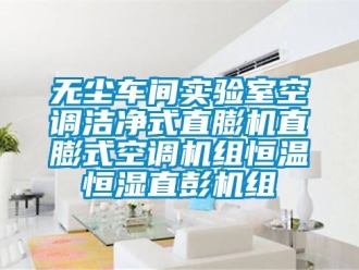 知識(shí)百科無塵車間實(shí)驗(yàn)室空調(diào)潔凈式直膨機(jī)直膨式空調(diào)機(jī)組恒溫恒濕直彭機(jī)組