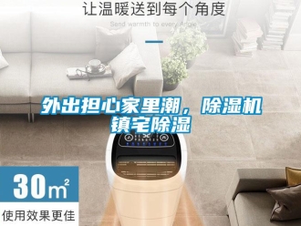 知識(shí)百科外出擔(dān)心家里潮，除濕機(jī)鎮(zhèn)宅除濕