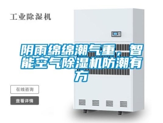 知識(shí)百科陰雨綿綿潮氣重，智能空氣除濕機(jī)防潮有方