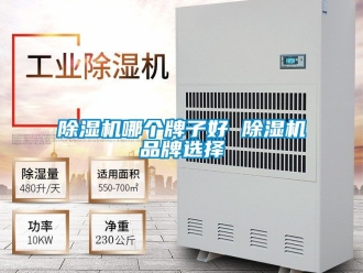 企業(yè)新聞除濕機(jī)哪個(gè)牌子好 除濕機(jī)品牌選擇