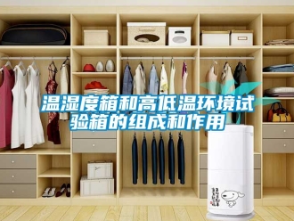常見問題溫濕度箱和高低溫環境試驗箱的組成和作用