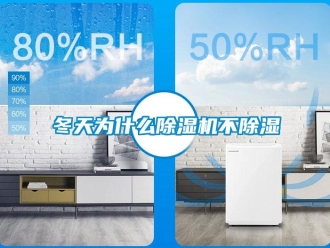 企業新聞冬天為什么除濕機不除濕