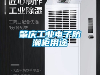常見問題肇慶工業(yè)電子防潮柜用途