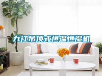 知識百科九江吊頂式恒溫恒濕機