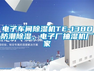 企業新聞電子車間除濕機TE-138D防潮除濕，電子廠抽濕機廠家