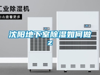 企業新聞沈陽地下室除濕如何做z