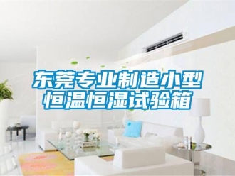 知識百科東莞專業(yè)制造小型恒溫恒濕試驗箱