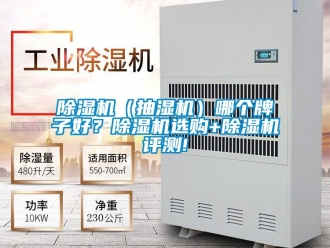 企業(yè)新聞除濕機(jī)（抽濕機(jī)）哪個牌子好？除濕機(jī)選購+除濕機(jī)評測!