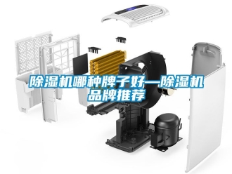 企業(yè)新聞除濕機哪種牌子好—除濕機品牌推薦