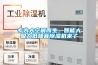 專為大空間而生，智能大吸力低噪音除濕機來了