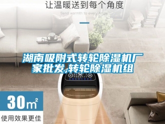 企業(yè)新聞湖南吸附式轉(zhuǎn)輪除濕機(jī)廠家批發(fā),轉(zhuǎn)輪除濕機(jī)組