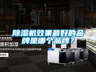 企業新聞除濕機效果最好的品牌是哪個品牌？