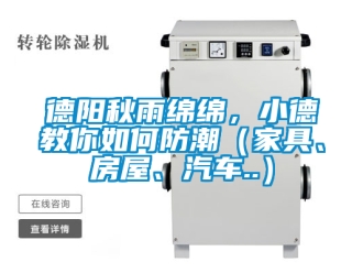 企業(yè)新聞德陽秋雨綿綿，小德教你如何防潮（家具、房屋、汽車..）