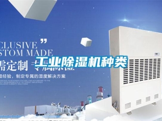 企業(yè)新聞工業(yè)除濕機(jī)種類
