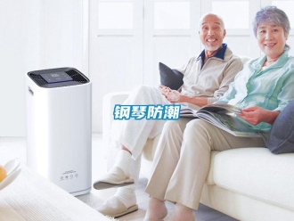 企業(yè)新聞鋼琴防潮