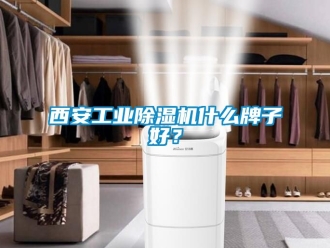 常見問題西安工業除濕機什么牌子好？