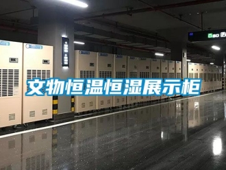 知識(shí)百科文物恒溫恒濕展示柜