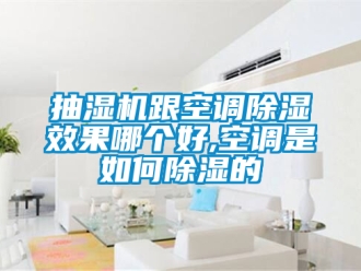 企業新聞抽濕機跟空調除濕效果哪個好,空調是如何除濕的