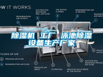 企業(yè)新聞除濕機(jī) 工廠(chǎng) 泳池除濕設(shè)備生產(chǎn)廠(chǎng)家