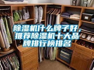 企業(yè)新聞除濕機(jī)什么牌子好，推薦除濕機(jī)十大品牌排行榜排名