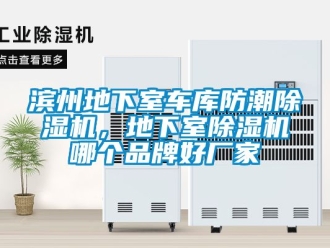 企業(yè)新聞濱州地下室車(chē)庫(kù)防潮除濕機(jī)，地下室除濕機(jī)哪個(gè)品牌好廠(chǎng)家