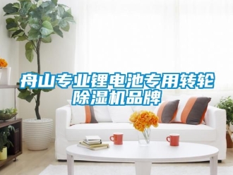常見問題舟山專業鋰電池專用轉輪除濕機品牌