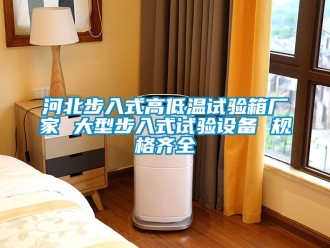 常見問題河北步入式高低溫試驗箱廠家 大型步入式試驗設備 規格齊全