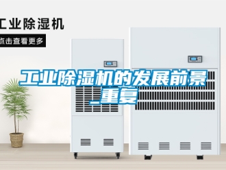 常見問題工業除濕機的發展前景_重復