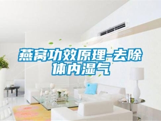 知識百科燕窩功效原理-去除體內濕氣