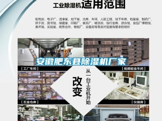 企業(yè)新聞安徽肥東縣除濕機(jī)廠家