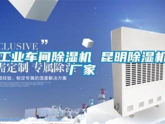 企業(yè)新聞工業(yè)車間除濕機(jī) 昆明除濕機(jī)廠家