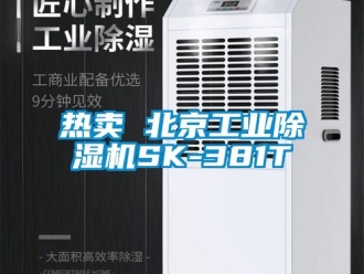常見問題熱賣 北京工業(yè)除濕機(jī)SK-381T