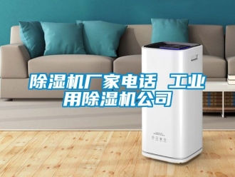 企業(yè)新聞除濕機廠家電話 工業(yè)用除濕機公司