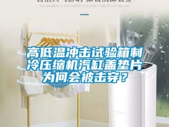 常見問題高低溫沖擊試驗(yàn)箱制冷壓縮機(jī)汽缸蓋墊片為何會(huì)被擊穿？