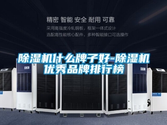企業(yè)新聞除濕機(jī)什么牌子好-除濕機(jī)優(yōu)秀品牌排行榜
