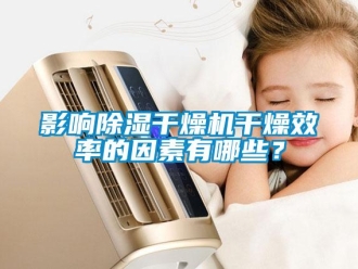 知識百科影響除濕干燥機干燥效率的因素有哪些？