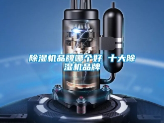 企業(yè)新聞除濕機(jī)品牌哪個(gè)好 十大除濕機(jī)品牌