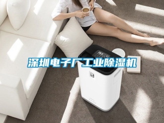 常見問題深圳電子廠工業除濕機