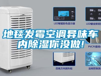 企業(yè)新聞地毯發(fā)霉空調(diào)異味車內(nèi)除濕你沒做!