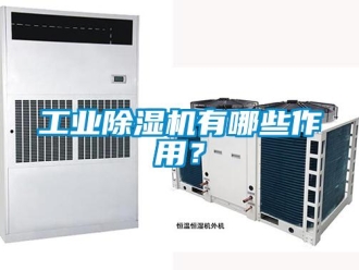 企業(yè)新聞工業(yè)除濕機(jī)有哪些作用？