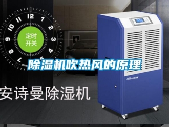 企業(yè)新聞除濕機吹熱風的原理
