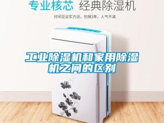 企業新聞工業除濕機和家用除濕機之間的區別
